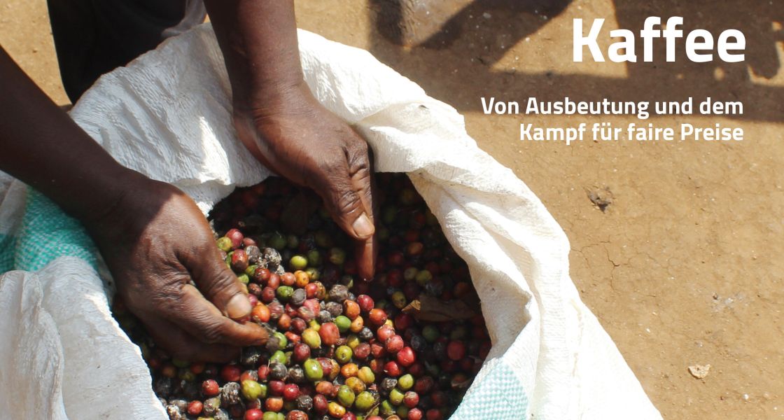 Mann greift mit seinen Händen in einen großen Sack voller Kaffeebohnen