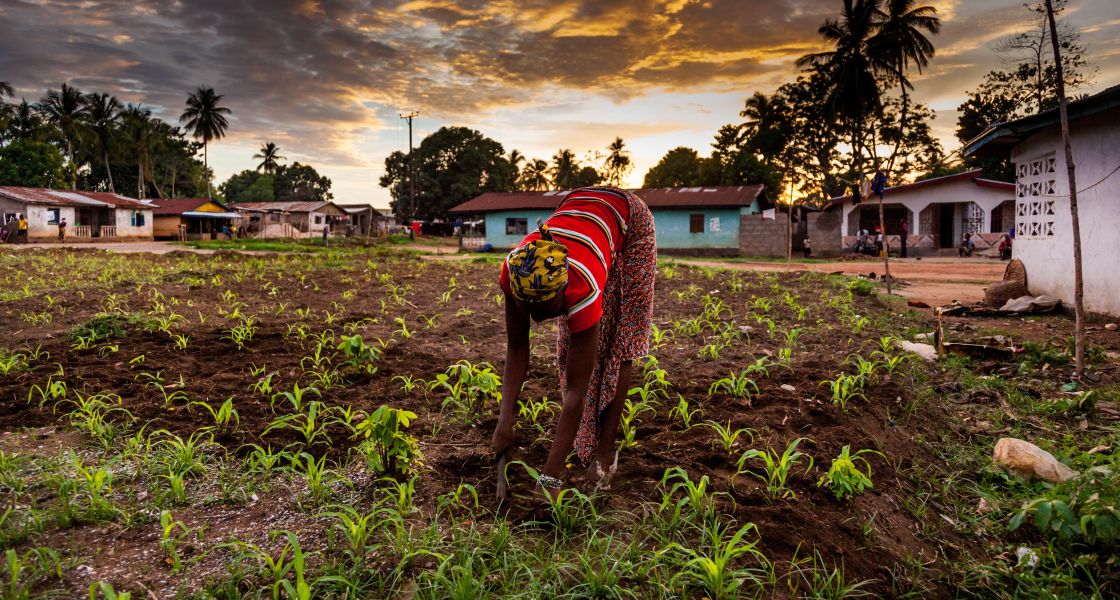  Frau bückt sich auf einem Feld.