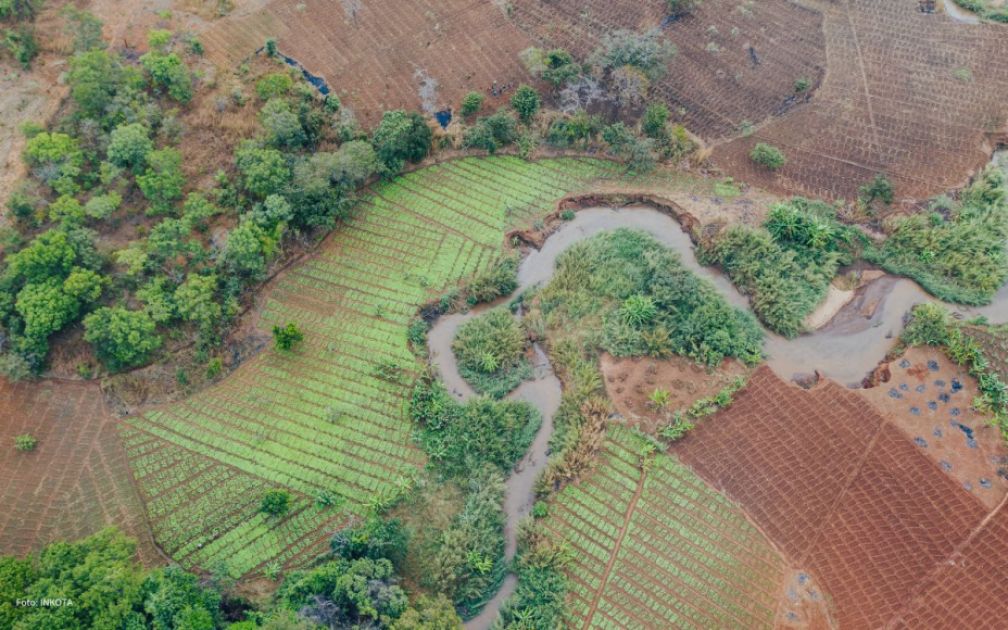 Seitenarm einen Flusses schlängelt sich durch Felder und Bäume