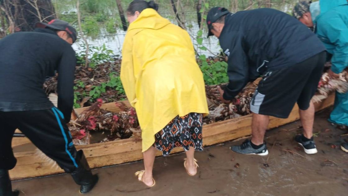 El Salvador Hühnerrettung nach Extremwetter Juni 2024