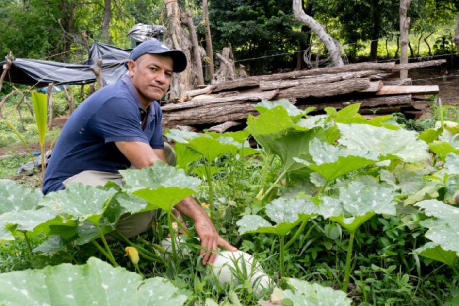 Ein Mann hockt vor einem Kürbisfeld und zeigt auf einen Kürbis