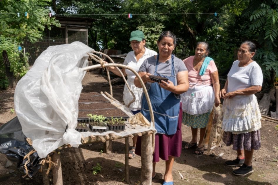 Eine kleines Pflanzenaufzieh-Gestell und vier Frauen davor, eine hält kleine Pflänzchen in der Hand