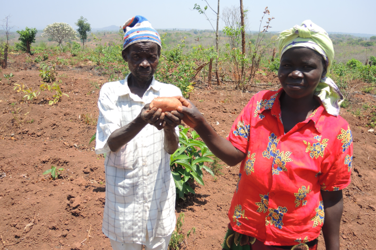 Frau und Mann aus Mosambik stehen auf einem Feld