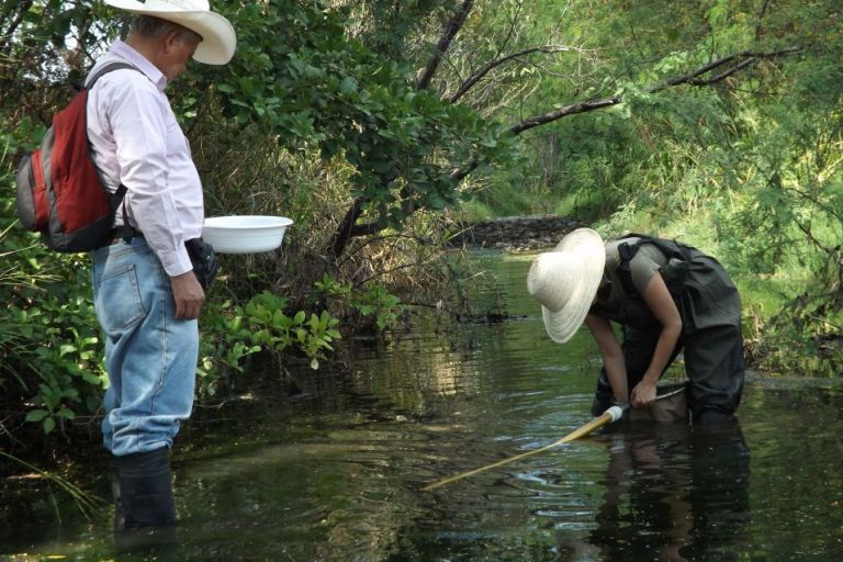 Gemeindemitglieder kontrollieren des Wasser des Flusses Ostúa auf giftige Rückstände. | Foto: Cortesía Madre Selva