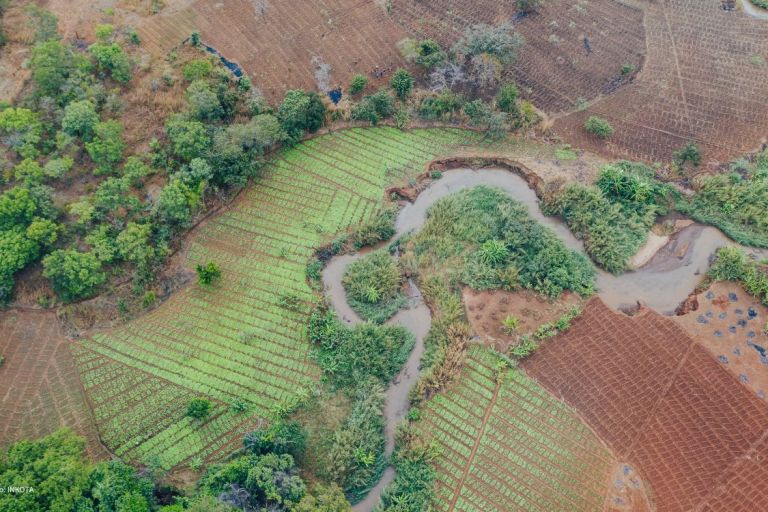 Seitenarm einen Flusses schlängelt sich durch Felder und Bäume