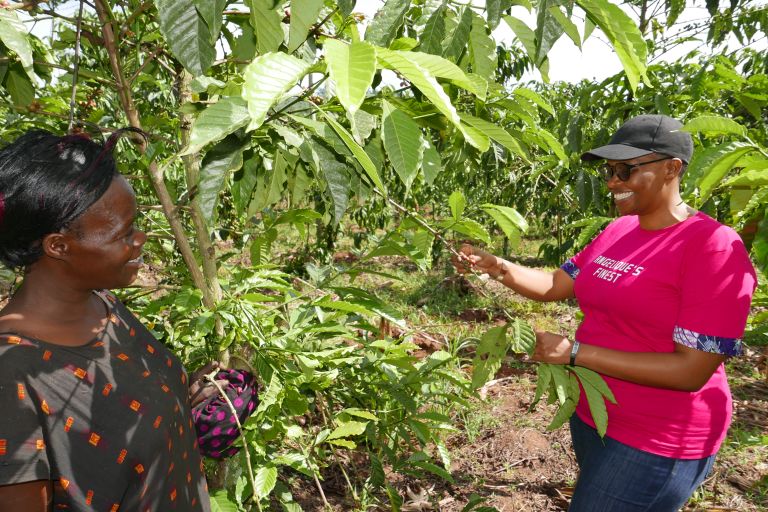 Zwei Frau stehen neben einer Vielzahl übergroßer Kaffeepflanzen