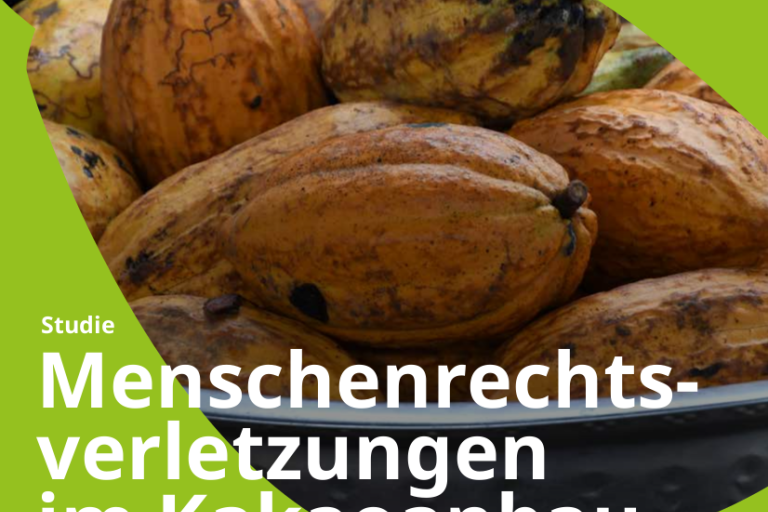 menschenrechtsverletzungen_im_kakaoanbau_warum_wir_ein_lieferkettengesetz_brauchen_inkota.png